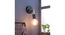 Brass Black Metal Wall Light by SS Lightings (Black) by Urban Ladder - - 