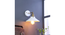 Nora White Metal Wall Light By Ss Lightings (White) by Urban Ladder - - 