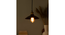 Japanese Pendant Light (Black) by Urban Ladder - - 
