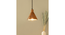 Teak Wood Cased Pendant Light (Brown) by Urban Ladder - - 