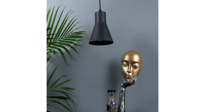 Limpid Black Hanging Light by SS Lightings (Black) by Urban Ladder - - 