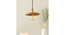 Kuksa Wooden Pendant Light (Brown) by Urban Ladder - - 