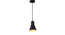 Limpid Black Hanging Light by SS Lightings (Black) by Urban Ladder - - 