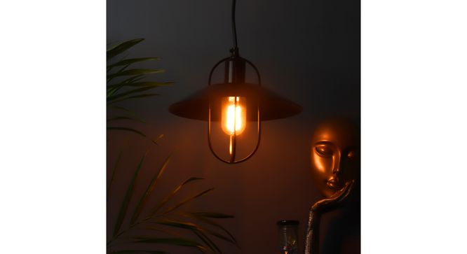 Luxury Style Black Hanging Light by SS Lightings (Black) by Urban Ladder - - 