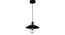 Luxury Style Black Hanging Light by SS Lightings (Black) by Urban Ladder - - 