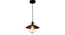 Luxury Style Black Hanging Light by SS Lightings (Black) by Urban Ladder - - 
