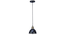 Darnar Black Metal Hanging Light by SS Lightings (Black) by Urban Ladder - - 