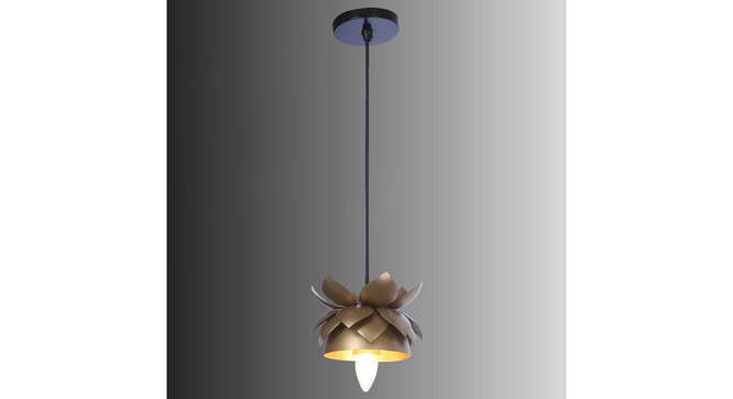 Hang Gold Metal Hanging Light by SS Lightings (Gold) by Urban Ladder - - 