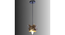 Hang Gold Metal Hanging Light by SS Lightings (Gold) by Urban Ladder - - 