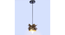 Hang Gold Metal Hanging Light by SS Lightings (Gold) by Urban Ladder - - 