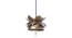 Hang Gold Metal Hanging Light by SS Lightings (Gold) by Urban Ladder - - 
