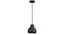 Apple Grey Metal Hanging Light by SS Lightings (Grey) by Urban Ladder - - 