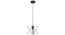 Nordic Black Vintage Metal Single Hanging Light by SS Lightings (Black) by Urban Ladder - - 