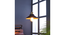 Nora Black Metal Single Hanging Light By Ss Lightings (Black) by Urban Ladder - - 