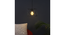 Nordic Black Vintage Metal Single Hanging Light (Black) by Urban Ladder - - 