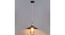 Vintage Industrial Black Metal Single Hanging Light By Ss Lightings (Black) by Urban Ladder - - 