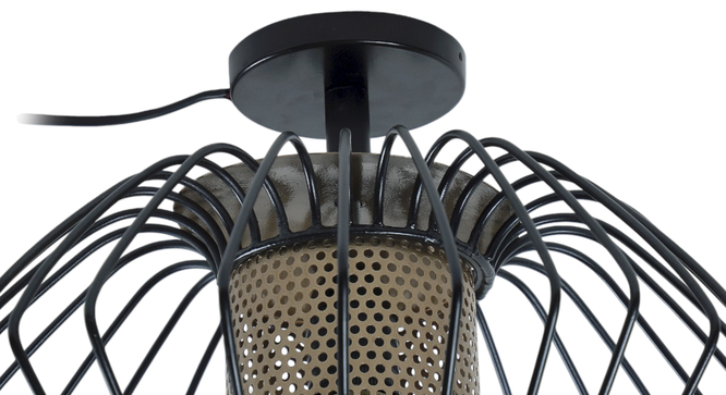Salma 1 Head Black Mordern Chandelier (Black) by Urban Ladder - - 