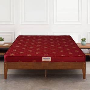 springtek Amaze Eco Mattress with HD-picture-19