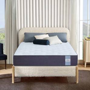 Springtek Mattress Promotions Design Dual Comfort Hybrid Hard & Soft Mattress - Queen Size (Queen Mattress Type, 78 x 60 in (Standard) Mattress Size, 5 in Mattress Thickness (in Inches))