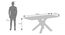 Zaida 6 Seater Glass Dining Table With Set Of 6 Taarkashi Dining Chair (Glass Finish, Gainsboro Grey) by Urban Ladder - - 967891