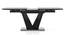 Caribu 6 To 8 Extendable Dining Table, Finish-Black Marble Color High Gloss With Set Of 6 Tulip Dining Chair In Tan (DUAL TONE, Black High Gloss Finish) by Urban Ladder - - 968250
