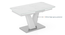 Caribu 4 To 6 Extendable White Marble Color High Gloss Dining Table With Set Of 4 Megan Dining Chair (Beige, White High Gloss Finish) by Urban Ladder - - 968506