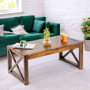 Hudson Rectangular Solid Wood Coffee Table in Teak Finish-image-27