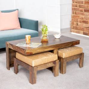 ikiriya Irish Rectangular Solid Wood Coffee Table in Teak Finish-picture-19