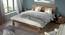 Terence Bed (Teak Finish, Queen Bed Size) by Urban Ladder - Full View Design 1 - 97043