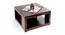 Aren Coffee Table - Walnut Finish (Walnut Finish, Walnut Finish) by Urban Ladder - - 