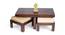 Ross Coffee Table Set - Jute Beige (Walnut Finish, Jute Beige) by Urban Ladder - - 
