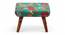 Queens Solid Wood Pouf Stool in Sea Green Fruit Print fabric (Green) by Urban Ladder - - 