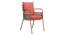 Paola Metal Outdoor Arm Chair Orange (Orange) by Urban Ladder - - 