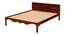 Isabella Solid Wood Bed in Honey Oak Finish (Queen Bed Size, Honey Oak Finish) by Urban Ladder - - 972931