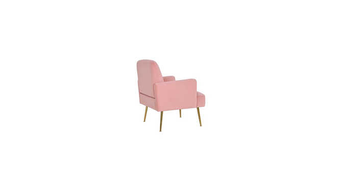 esme accent chair (Pink) by Urban Ladder - - 
