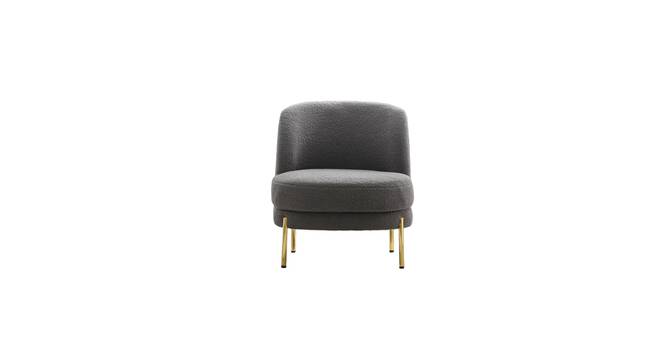 addaly accent chair (Grey) by Urban Ladder - - 