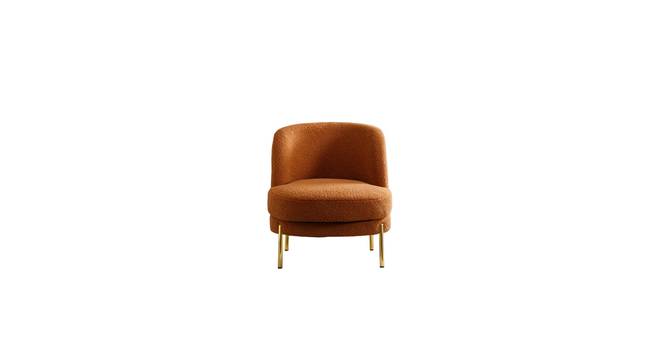 addaly accent chair (Orange) by Urban Ladder - - 