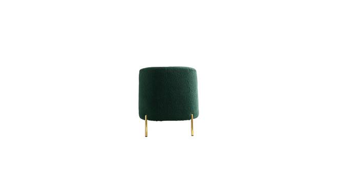 addaly accent chair (Green) by Urban Ladder - - 
