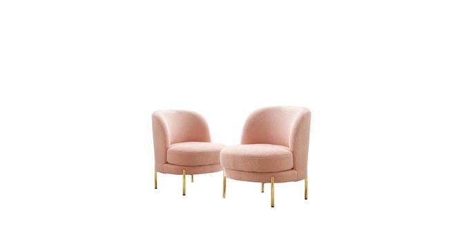 addaly accent chair (Pink) by Urban Ladder - - 