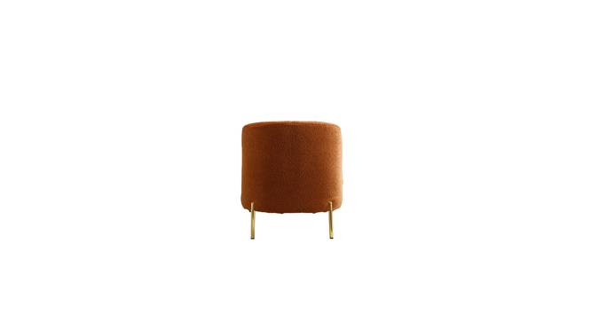 addaly accent chair (Orange) by Urban Ladder - - 