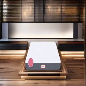 Mattresses Bedding In Gandipet Design Twin Dlx Dual Comfort SRTX Tech queen Size Mattress (White, Queen Mattress Type, 72 x 60 in Mattress Size, 10 in Mattress Thickness (in Inches))