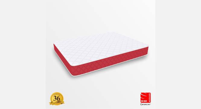 Orthopedic Polycotton COIR Queen Size Mattress 1 (Queen Mattress Type, 6 in Mattress Thickness (in Inches), Maroon, 84 x 66 in Mattress Size) by Urban Ladder - - 