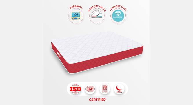 Orthopedic Polycotton Foam Double Size Mattress (4 in Mattress Thickness (in Inches), Maroon, Double Mattress Type, 75 x 42 in Mattress Size) by Urban Ladder - - 