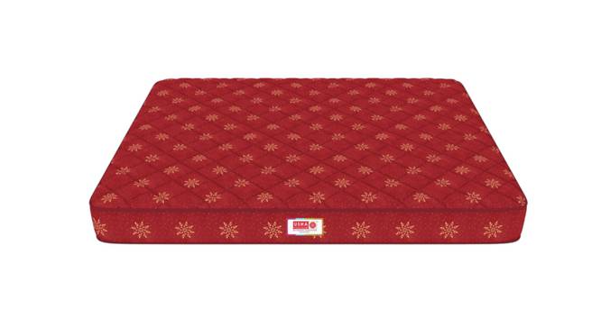 Orthopedic Cotton COIR Single Size Mattress with 5_inches thickness78 X 36 (Single Mattress Type, 5 in Mattress Thickness (in Inches), Maroon, 78 x 36 in Mattress Size) by Urban Ladder - - 