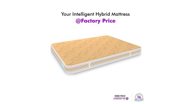 Orthopedic Quilted Knitted Bonnell Spring Single Size Mattress with 10_inches thickness72 X 35 (Beige, Single Mattress Type, 10 in Mattress Thickness (in Inches), 72 x 35 in Mattress Size) by Urban Ladder - - 