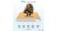 Orthopedic Quilted Knitted Bonnell Spring Single Size Mattress with 10_inches thickness72 X 35 (Beige, Single Mattress Type, 10 in Mattress Thickness (in Inches), 72 x 35 in Mattress Size) by Urban Ladder - - 