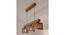 Lyon Brown Solid Wood Cluster Hanging Light (Brown) by Urban Ladder - - 