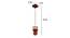 Focal Brown Solid Wood Single Hanging Light (Brown) by Urban Ladder - Dimension - 983758