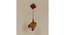 Focal Brown Solid Wood Single Hanging Light (Brown) by Urban Ladder - - 