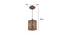 Oblique Brown Solid Wood Single Hanging Light (Brown) by Urban Ladder - Dimension - 983822